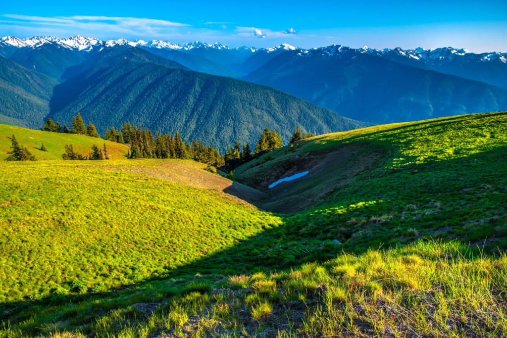 Forest and mountain scenery in Olympic National Park Washington.
