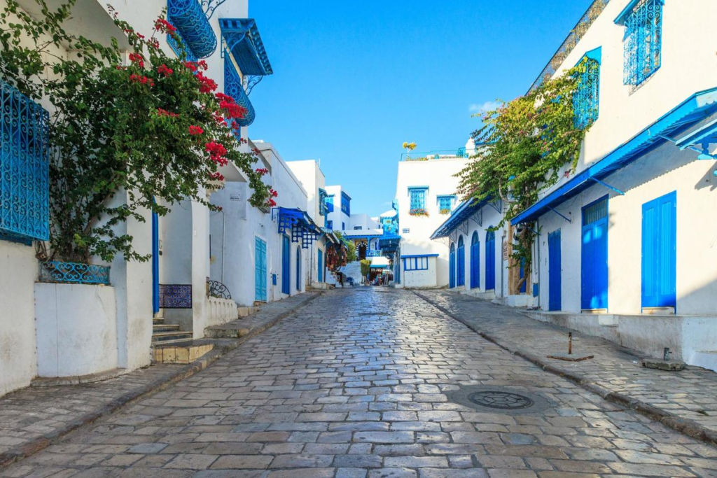 White and blue buildings in Sidi Bou Said, Tunisia.