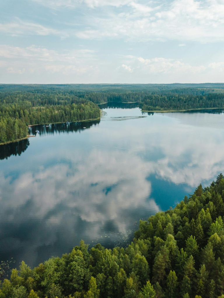 Forest and lake landscape in Finland.